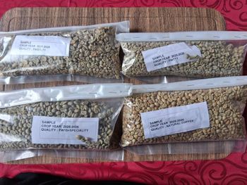 Green cofee beans from Trusted favor group Green cofee beans – product photo, Long Green Beans products found from trusted suppliers, wholesalers, manufacturers & exporters Listing
