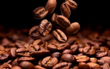 coffee bean - Ha - Vietnam