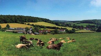 Product - BEECHDEAN DAIRIES LIMITED - Global