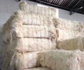 High-Quality Natural Sisal Fibre For Sale from Njang Investments Limited High-Quality Natural Sisal Fibre For Sale - Njang Investments Limited - Kenya