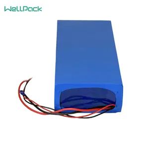 Balance Car Power Tech Battery Box - Better Technology Group Limited - China