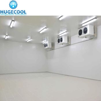 10 Years Warranty Cold Storage Room for Fruits Vegetables Meat Fishes - Hugecool(Qingdao) Refrigeration Technology Co., Ltd - China