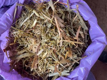 Napier Silage from GETTREE RESOURCES Napier Silage - GETTREE RESOURCES - Malaysia