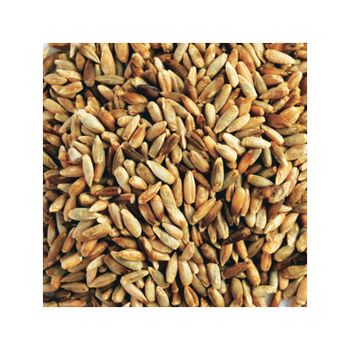Bulk rye grain wholesale for bakeries and animal feed markets - MASI TRADING GMBH - Germany
