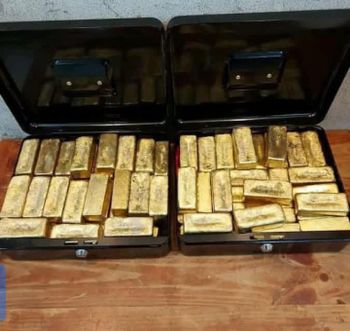 Gold - CHARIOT GROUP CO.LTD - Cameroon