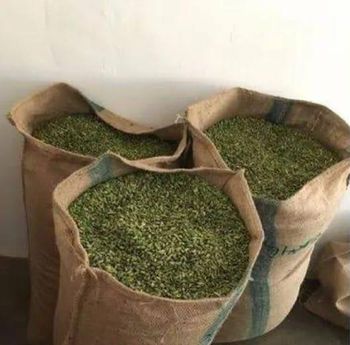 Green cardamom - M/s.RC BUILDER'S - India