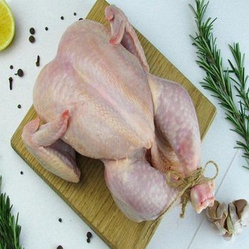 High End 100% Halal Certified Grade Brazilian Frozen Chicken Whole Feet BQF Process Bulk Packaging Vitamins - TRADECENTRIC LLC - United States