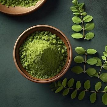 Organic Moringa Powder Purity High Grade Premium Color Parrot Green Shelf Life 24 months Sustainability Eco-friendly Packaging Hygienically Packed - VINAYAK INTERNATIONAL - India