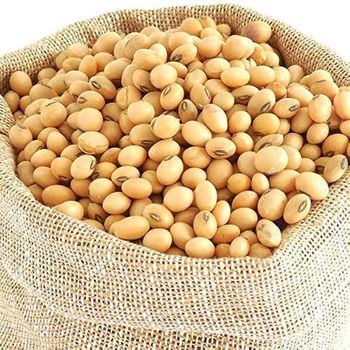 Export Quality Soybean Featuring Natural Seeds With Custom Packaging For International Food Buyers - malter group - Tanzania