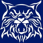 Product - Our Games | Wild Cat Skill | Skill Machine for Sale Kentucky | Promionent Technologies - United States