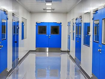 Polyurethane Clean Room Doors, For Industrial Power Customized Lighting Type Customized Contamination Control High Seal Type Specialized - ABR Enterprises - India