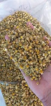 chamomile flower - Khirat Baladna KB for import & export - Egypt
