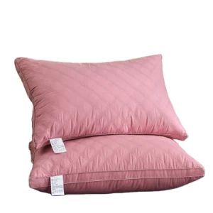 Wholesale Bed Pillows Pillow 1000g with Bag - Market Union Co. Ltd. - China