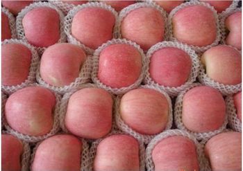 Premium Fuji Apples 65#-80# SGS Certified from Shanghai Hemi Supply Chain Technology Co., LTD Premium Fuji Apples 65#-80# SGS Certified - Shanghai Hemi Supply Chain Technology Co., LTD - China