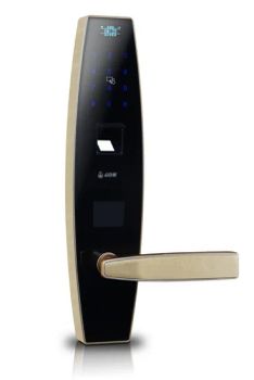F1-SG Modern Mortise Door Lock 60mm 35-50mm 65mm 1Y Part Lock Style Modern Origin China Backset 60mm Model NO. F1-SG Trademark RALLAR - Rallar Technology Co., Ltd. - China
