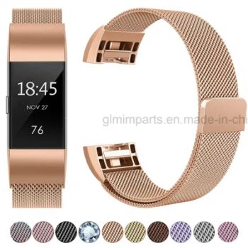 Stainless Steel Watch Bands Watch Bracelet for Apple Watch Fitbit Watch - Shenzhen Greelife Technology Co., Limited - China