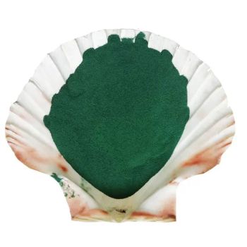 Leather Chemical Basic Chromium Sulphate BCS 24%-26% pH 3-5 Origin China Type Sulfate Purity 24-26% EINECS 235-595-8 Grade Tech - Henan Premtec Enterprise Corporation - China