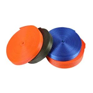 CE Certified 2 Inch High Strength Custom Logo Polyester Webbing for Ratchet Tie Downs - Linyi Liaokuo Hardware Tools Co., Ltd. - China