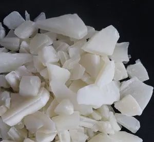 Flake Industrial Grade Aluminum Sulfate - Jiangsu Tiandong Biotechnology Co., Ltd. - China
