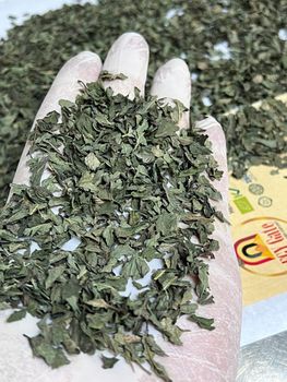 Dried Peppermint and Spearmint / Lemongrass Aroma Refreshing Color Natural Green Form Conventional And Organic Application Hot Beverages And Therapeutic - EGY GATE  - Egypt
