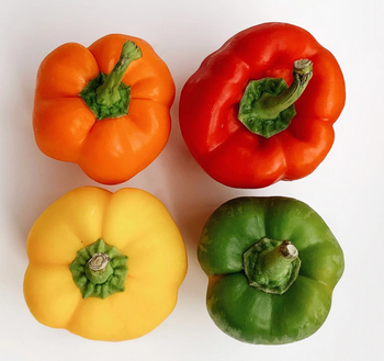 Bell pepper Packaging CATRON Place of Origin Iran Color yellow / Red / - Salamt Mehr motahar food industrial group - United Arab Emirates