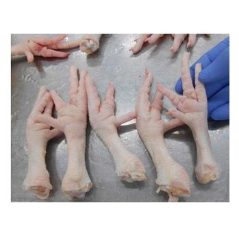 Chicken Paws frozen processed chicken paws from Brazil Top grade frozen chicken feet and paws - N.G westen holding B.V - Netherlands