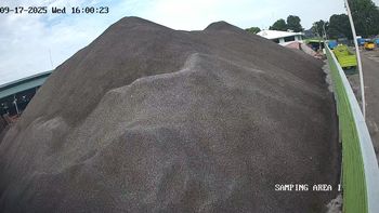 Palm Kernel Shell (PKS) from Javanes Ekspor Nusantara Palm Kernel Shell (PKS) - Javanes Ekspor Nusantara - Indonesia