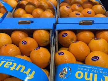 oranges Color Orange Variety Navalines, - FRUTA FINO S.M.P.C - Greece