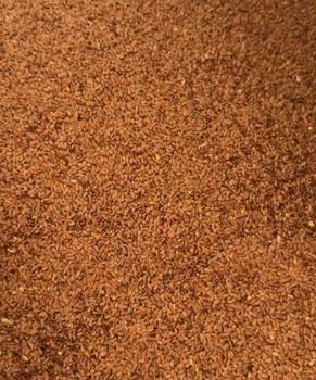 Brown Flaxseed – Oil Content 40% – FOB Supply - Natalia Global Export - Germany