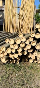 Bambu Tali Blonde and Black/Gigantochloa Apus – product photo, Plant products found from trusted suppliers, wholesalers, manufacturers & exporters Listing
