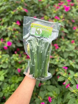 200gr vacuum-sealed pandan leaves - Chi Nguyen Imextra JSC - Vietnam