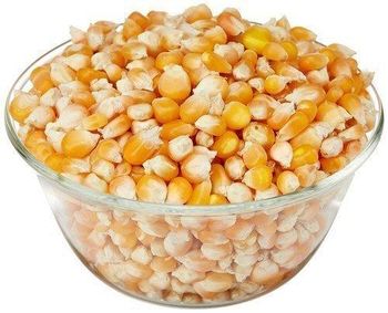 Yellow corn for human feeding Color Yellow Texture Crunchy Form Whole Kernels Place of Origin germany Processing Method Carefully Processed - agriculturalprogmbh - Germany