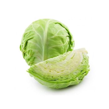 Fresh cabbage bulk supply available for wholesale markets and distributors - afrivett@gmail.com - South Africa