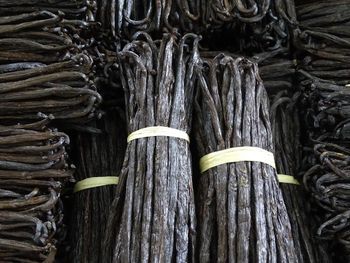 Hot Sale Factory Wholesale Vanilla Beans Mixed With Vanilla Sticks Milk Tea Ice Cream Bake - VERTEX TRADING LIMITED - United Kingdom