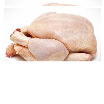 Best Quality Healthy & Natural Whole Chicken Halal Frozen Whole Chicken Poultry Meat Chicken with Customize Pack - JOHN LIVESTOCK FARM - United States