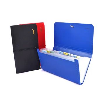 Foska Stationery Items 13 Pockets Student and Office Plastic Expanding File Folder - Anhui Sunshine Stationery Co., Ltd. - China