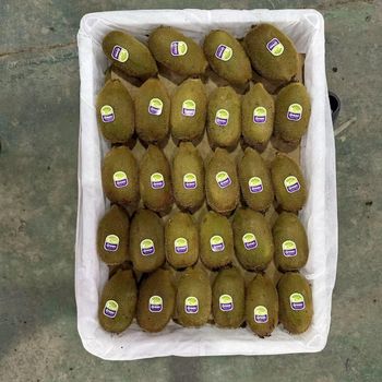 KIWI - TIANJIN WENJIANG TECHNOLOGY CO., LTD.  - China
