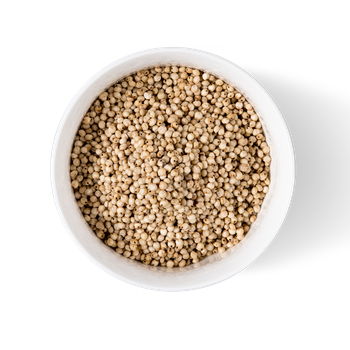 Sorghum grains with high nutritional value suitable for processing and milling from HIGHPROFILE AGRICULTURE SERVICES LIMITED Sorghum grains with high nutritional value suitable for processing and milling - HIGHPROFILE AGRICULTURE SERVICES LIMITED - Tanzania
