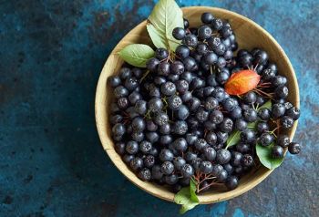 Aronia Berries , Juice , Jam - Bayfield Berryfarm Inc - Canada