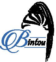 Product - Bintou Professional African Hair Braiding - United States