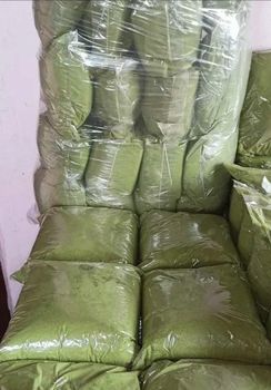 Organic moringa powder - Yazconstruct limited - Nigeria