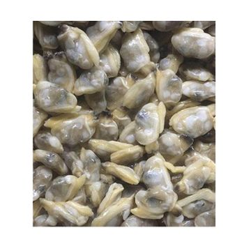 South African Supplier Factory Direct Sale Frozen Clams Without Shell Frozen Natural Clam Meat for Sale - NANJE ENTERPRISES - South Africa