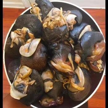 Wholesale Frozen Africa Snail Premium Quality Seafood Choice For Distributors Retailers from CPW TRADE LTD Wholesale Frozen Africa Snail Premium Quality Seafood Choice For Distributors Retailers - CPW TRADE LTD - United Kingdom