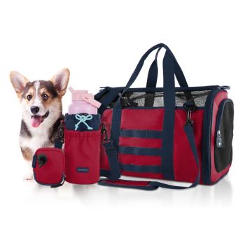 Free or Customized Sample ODM Durable Portable Safe to Use Pet Carrier with Straps - Everich Commerce Group Limited - China