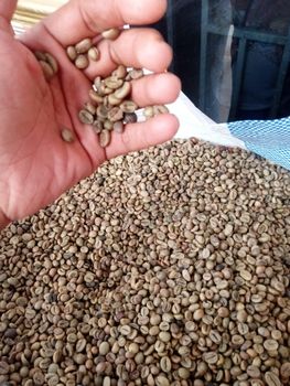 INDONESIA ROBUSTA COFFEE, SUMARTA – product photo, Roasted Robusta Coffee products found from trusted suppliers, wholesalers, manufacturers & exporters Listing