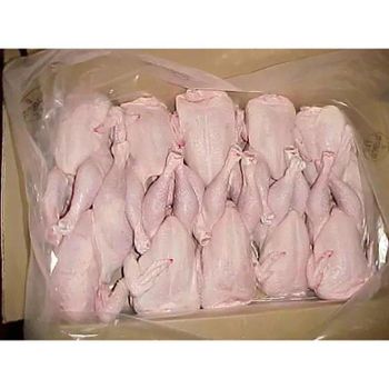 Halal Whole Frozen Chicken for Export from JAC SEEDS & OIL TRADING (PTY) LTD Halal Whole Frozen Chicken for Export - JAC SEEDS & OIL TRADING (PTY) LTD - South Africa