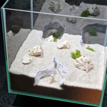 Premium Fish Tank Accessories Ornaments for a Stunning Aquarium Experience Pet Product - Hefei Fengkun Intelligent Technology Co., Ltd - China