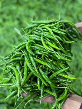 G4 Green Chilli Shelf Life Long Texture Crunchy Flavor Flavorful Heat Level Medium Sourcing Local Farms Packaging 3.8kg box net weight - M D Global Impex  - India