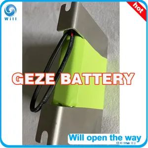 Battery UPS for Geze Origin China Color Silver Type Sliding Trademark Will Specification CE HS Code 8537101990 Open Style - Ningbo Farwill Automation Co., Ltd. - China