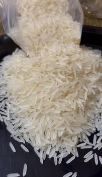 Basmati Rice 1121 White Sella - Avinya International - India